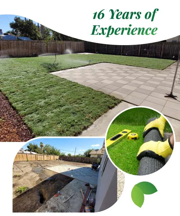 experienced lawn company